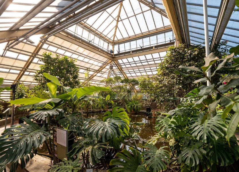Hortus Botanicus Leiden, Netherlands